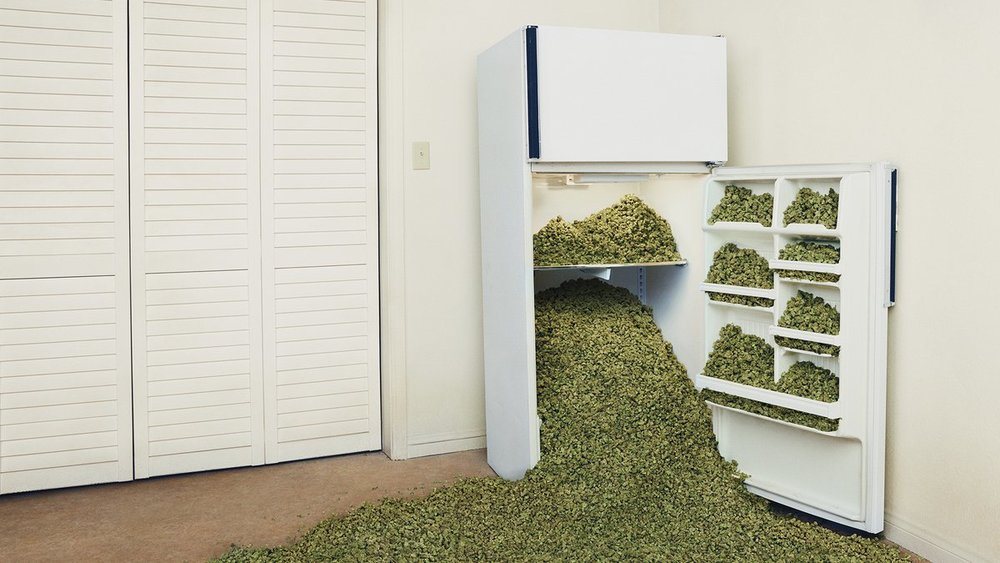 A refrigerator spilling over with cannabis